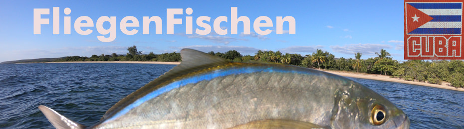 Kuba Fliegen Fischen