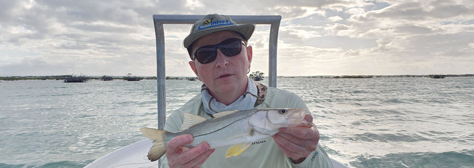 Snook